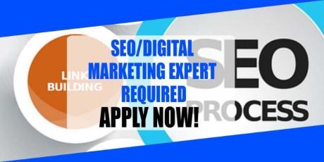 SEO DIGITAL MARKETING EXPERT REQUIRED IN DUBAI
