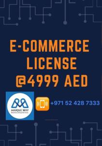 E-Commerce License@4999