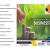 NEW BUSINESS SERVICES-CONSULTANT IN ABU DHABI