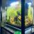 Beautiful aquarium for beautiful home