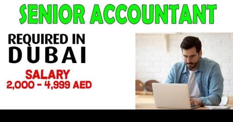 Senior Accountant Required in Dubai