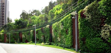 Landscape Maintenance