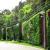 Landscape Maintenance