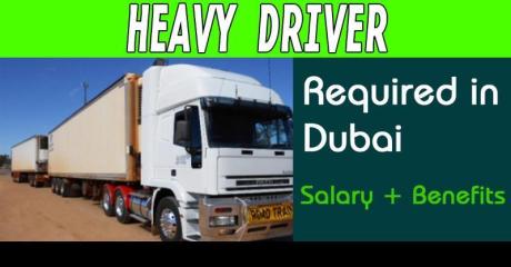 HEAVY DRIVER (Licence No.5) Required in Dubai
