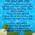 summer special pool cleaning service