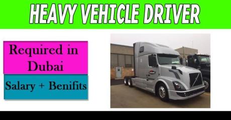 Heavy Vehicle Driver Required in Dubai