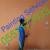 Home Paint Service