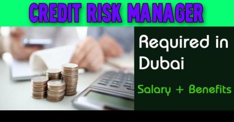 Credit Risk Manager Required in Dubai
