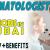Dermatologist Required in Dubai