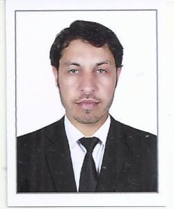 Light vehicle driver