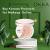 Buy Korean Products for Makeup Online