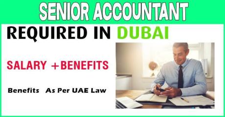 Senior Accountant Required in Dubai