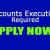 Accounts Executive