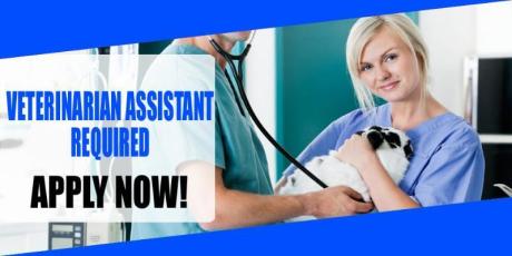 VETERINARIAN ASSISTANT REQUIRED IN DUBAI