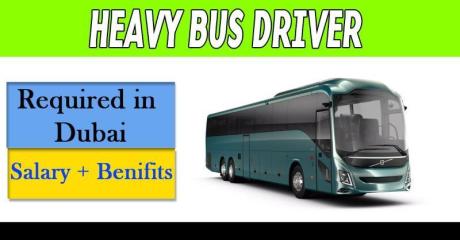 Heavy Bus Driver Required in Dubai