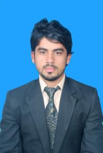 Need job for Web developer