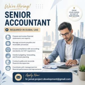 Senior Accountant Required in Dubai