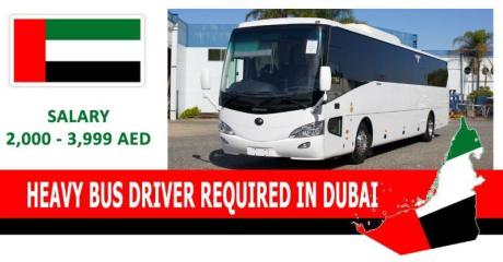 HEAVY BUS DRIVER REQUIRED IN DUBAI
