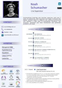 Premium Resume Design Service