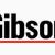 Gibson Service Center - 056 421 1601- umm Al Quwain UAE