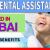 Dental Assistant Required in Dubai