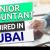 Senior Accountant Required in Dubai
