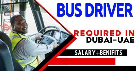 Bus Driver Required in Dubai -