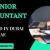 Senior Accountant Required in Dubai