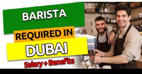 Barista Required in Dubai