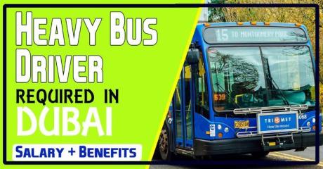 Heavy Bus Driver Required in Dubai