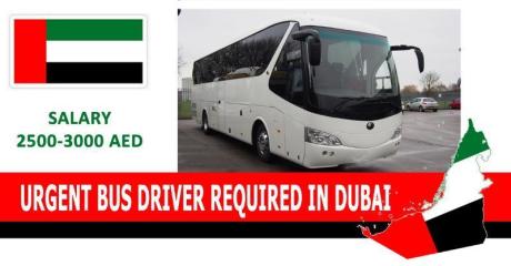 URGENT BUS DRIVER REQUIRED IN DUBAI