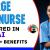 Charge Nurse Required in Dubai -