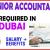 Senior Accountant Required in Dubai