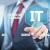 IT Business license in Dubai