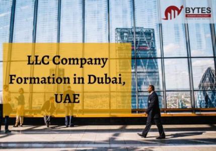 Limited Liability Company Formation in Dubai | Bytes Business
