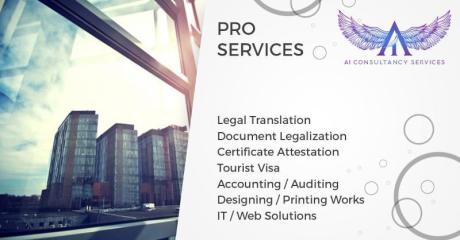 PRO SERVICES