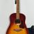 Seagull Entourage Autumn Burst Acoustic Guitar