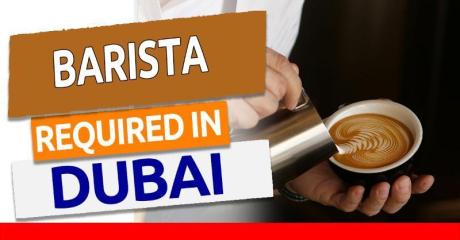 Barista Required in Dubai