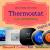 Honeywell, Ecobee,Nest thermostat installation services in arabian ranches,meadows,springs,al furjan