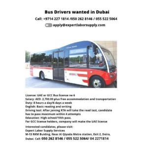 Bus Drivers wanted in Dubai