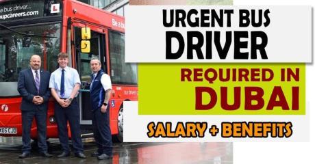 Urgent BUS DRIVER Required in Dubai