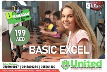 BASIC EXCEL