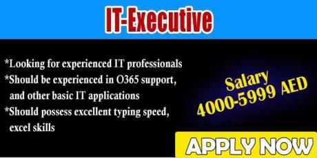 IT-Executive