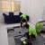 Sofa cleaning