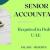 Senior Accountant Required in Dubai