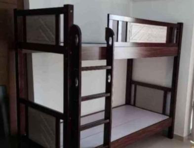 Brand New Solid wood kids bunker bed Free -