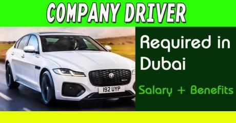 Company Driver Required in Dubai