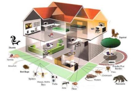 055-371 4076-Municipality Approved Pest Control Services & Cleaning Services at Best Price.