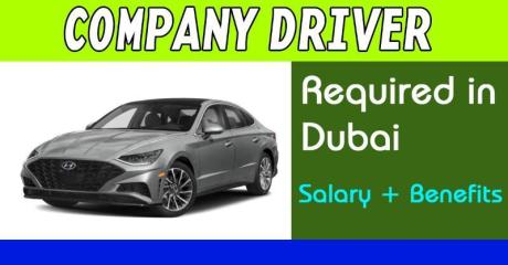 COMPANY DRIVER Required in Dubai