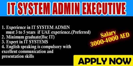 IT SYSTEM ADMIN EXECUTIVE